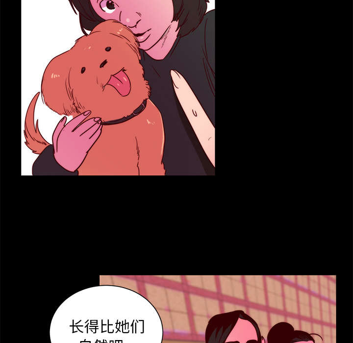 摔跤对抗赛视频漫画,第25章：关注1图