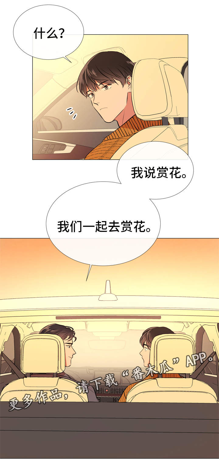 目标价漫画,第51章：各自心思3图