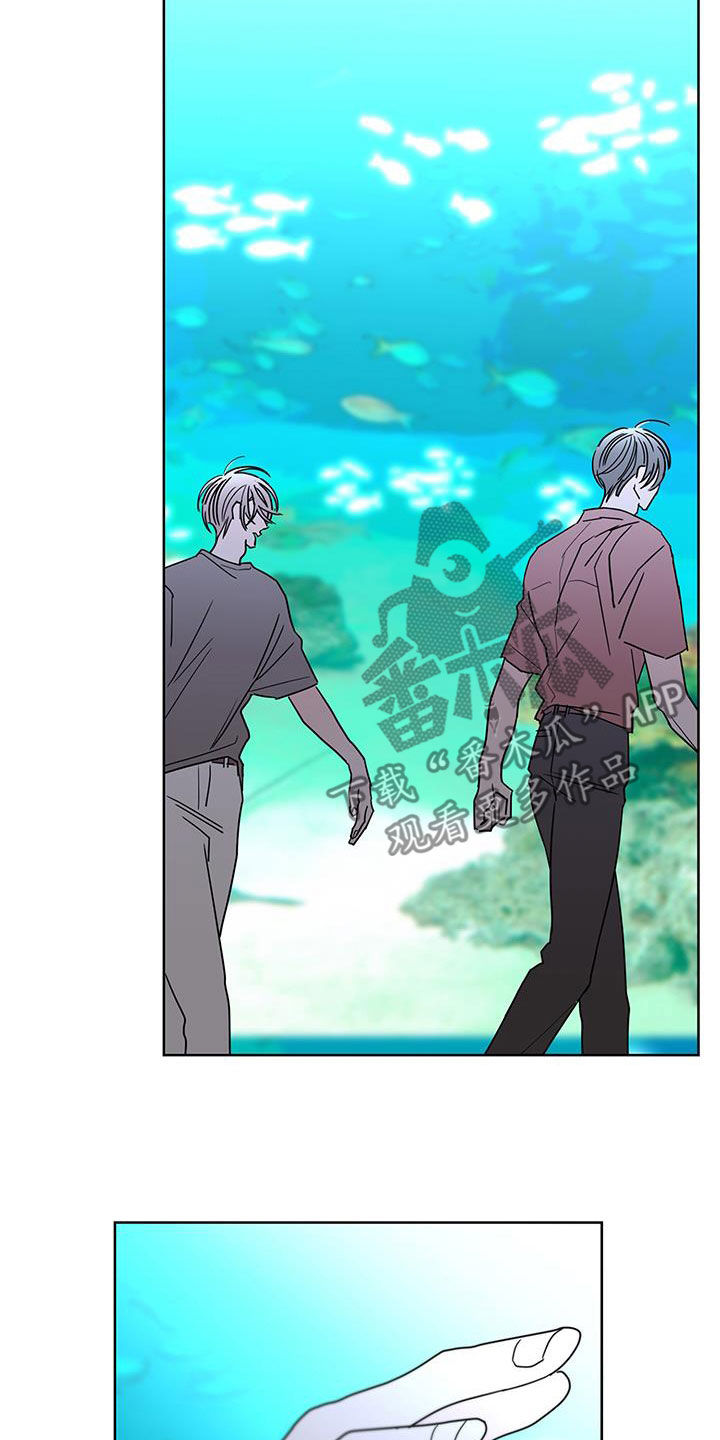 贝塔的报恩漫画,第52章：快去吧5图