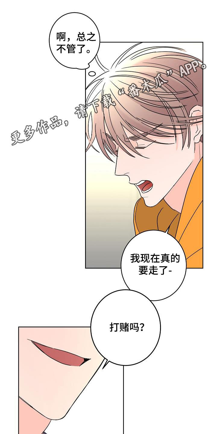 贝塔的报恩漫画,第43章：打赌1图