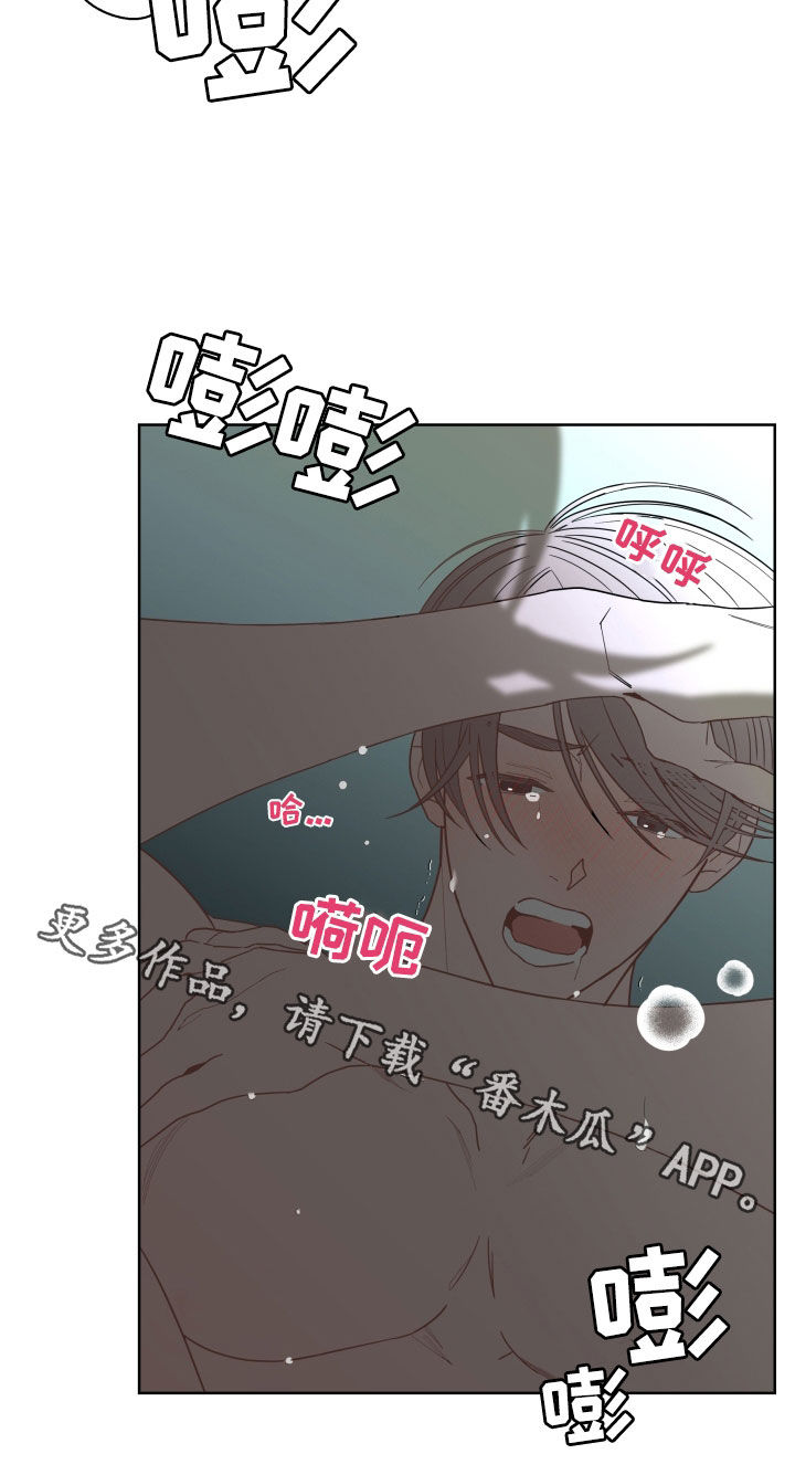 阿基米的报恩漫画,第86章：【第二季】难为情2图