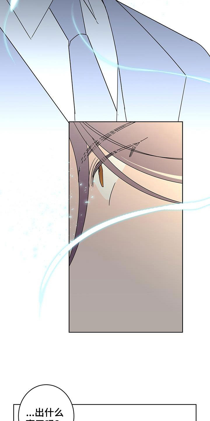 贝塔的报恩漫画,第63章：调查（第一季完结）4图