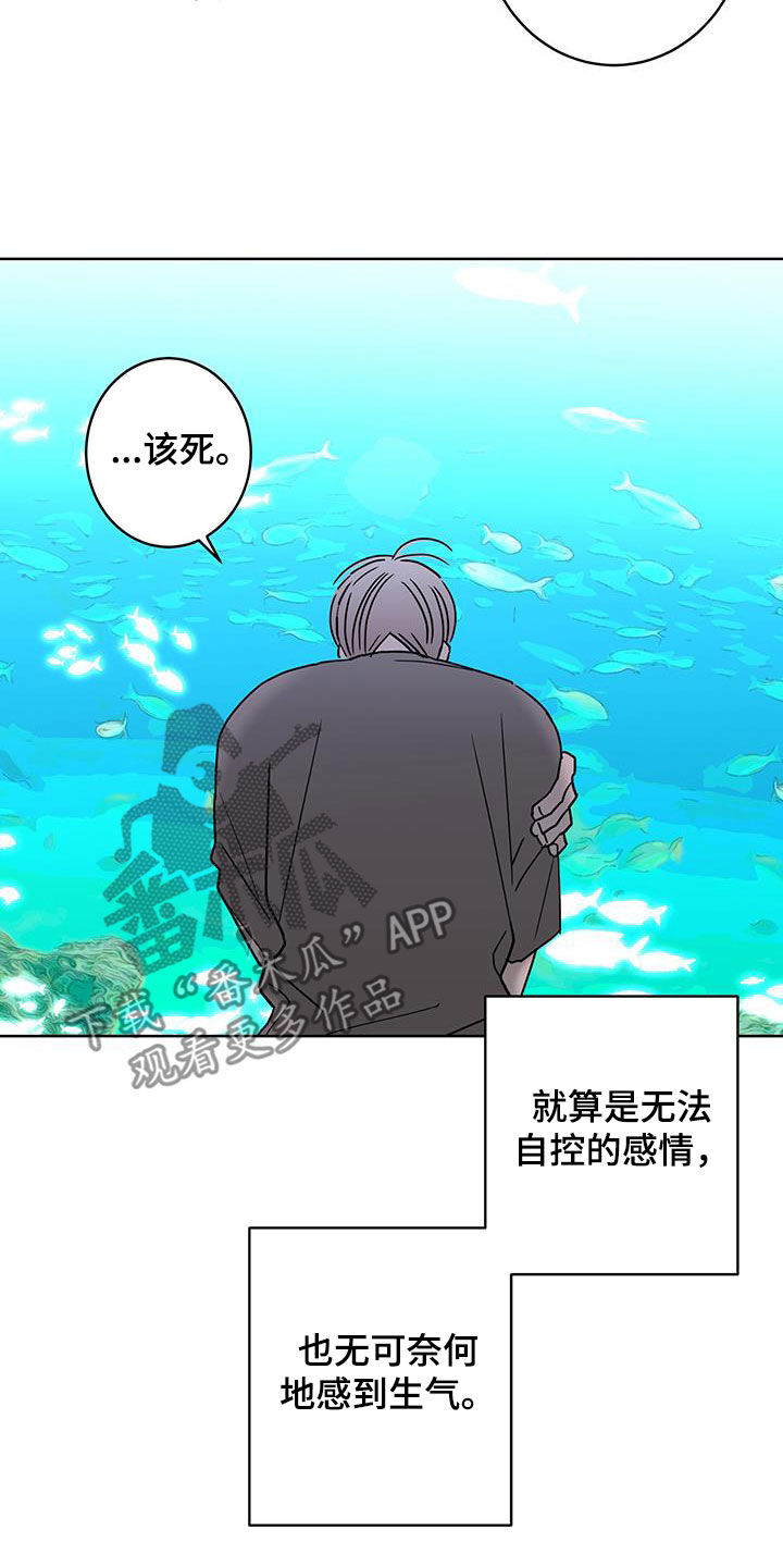 贝塔的朋友漫画,第53章：好难过3图