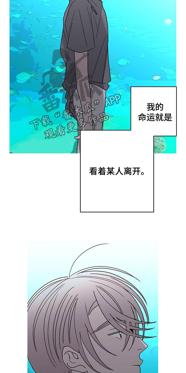 贝塔的报恩漫画,第57章：喝醉4图