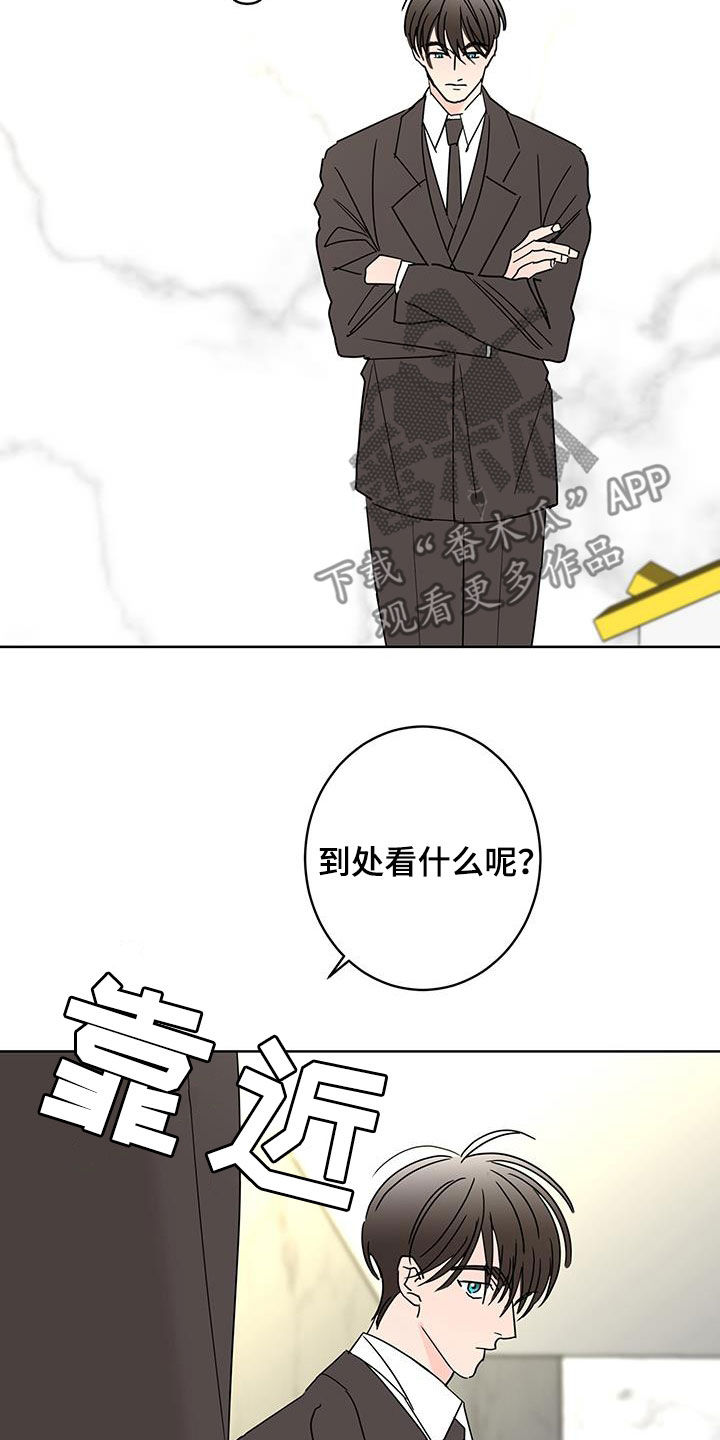 阿基米的报恩漫画,第54章：办法2图