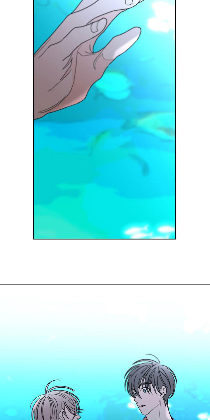 贝塔的报恩漫画,第52章：快去吧1图