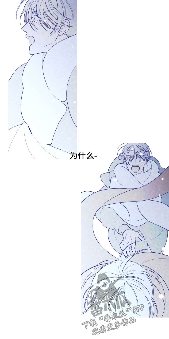 贝塔值是什么意思漫画,第95章：【第二季】无法拥有1图