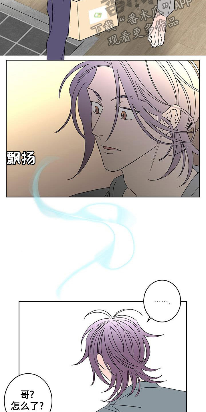 贝塔的报恩漫画,第63章：调查（第一季完结）1图