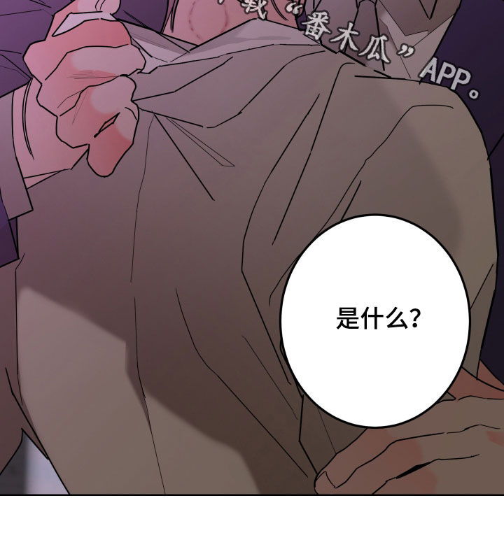 贝塔的七个姐姐合集漫画,第89章：【第二季】痕迹4图