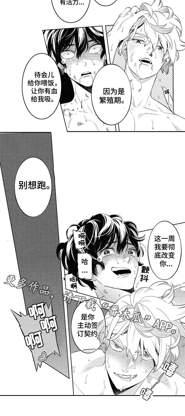 隐秘血族漫画,第11章：签订契约3图