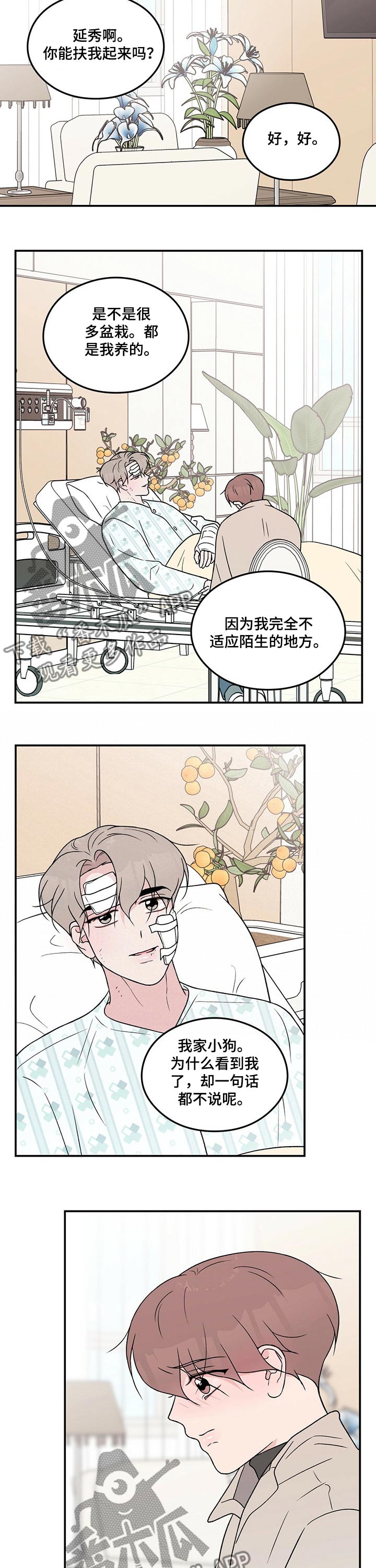 恋情演习漫画,第97章：【第二季】探病4图
