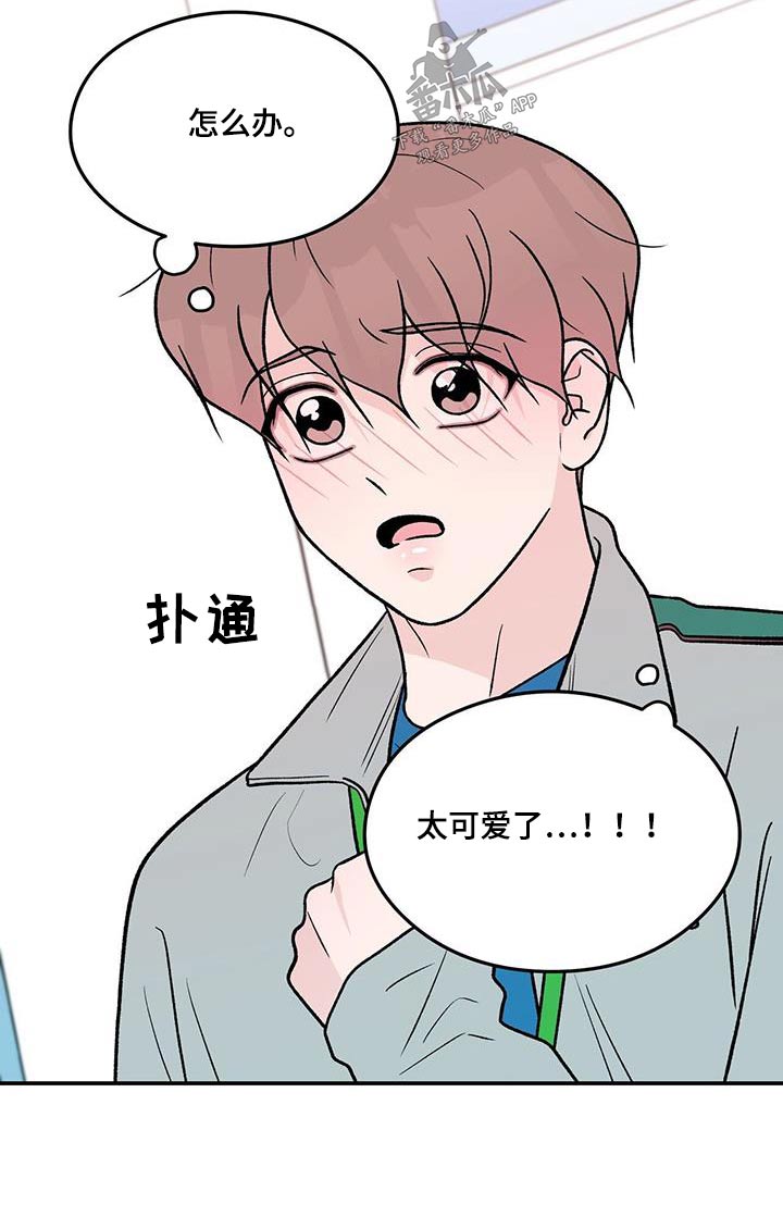 恋情演习漫画,第178章：【第三季】发现3图