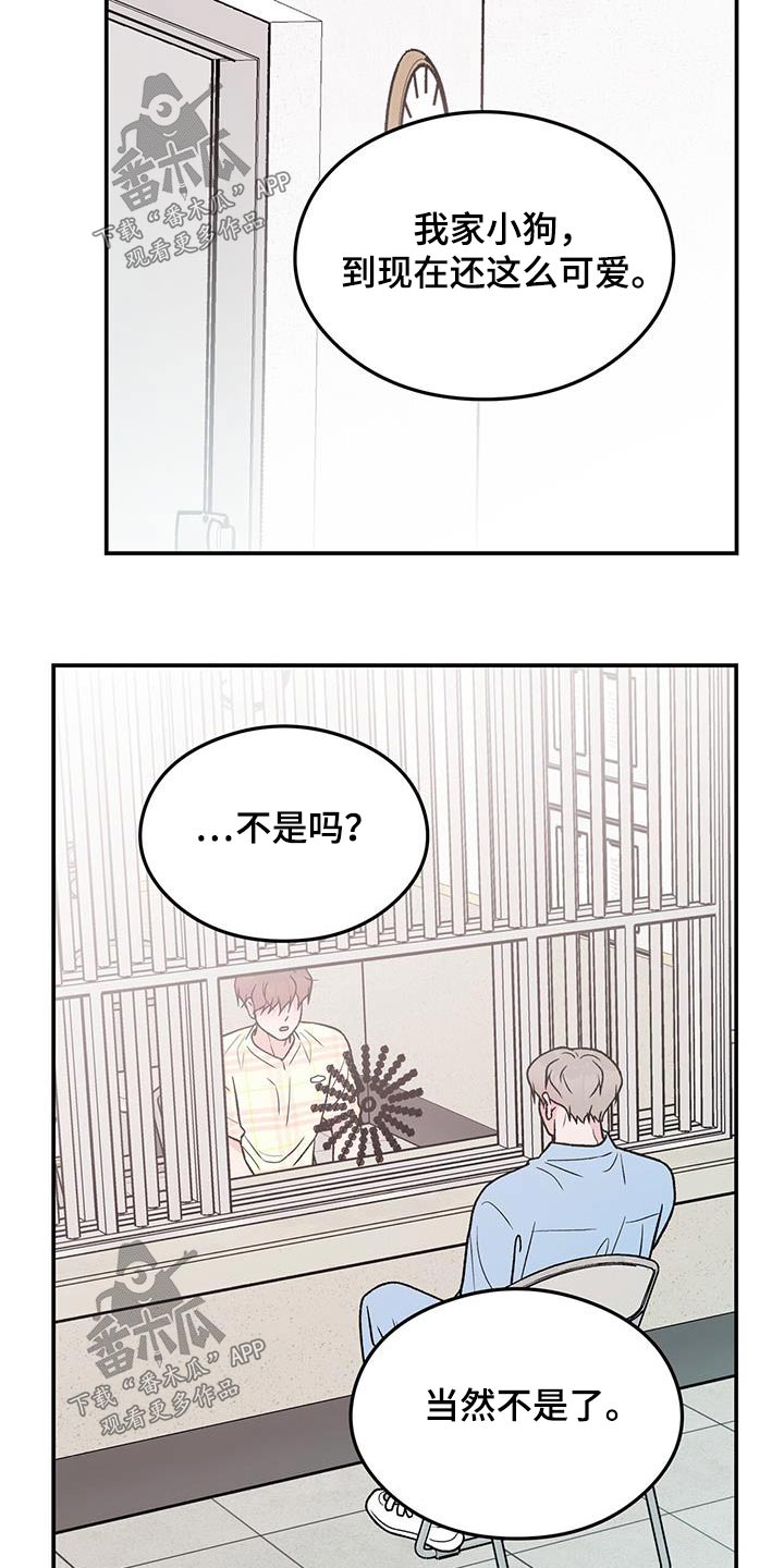 恋情演习漫画,第166章：【第三季】询问2图