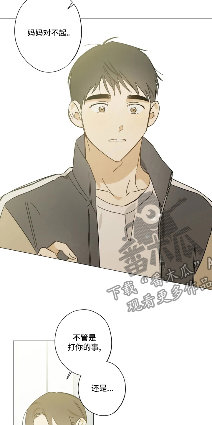 焦点视线漫画,第99章：幸福吗5图