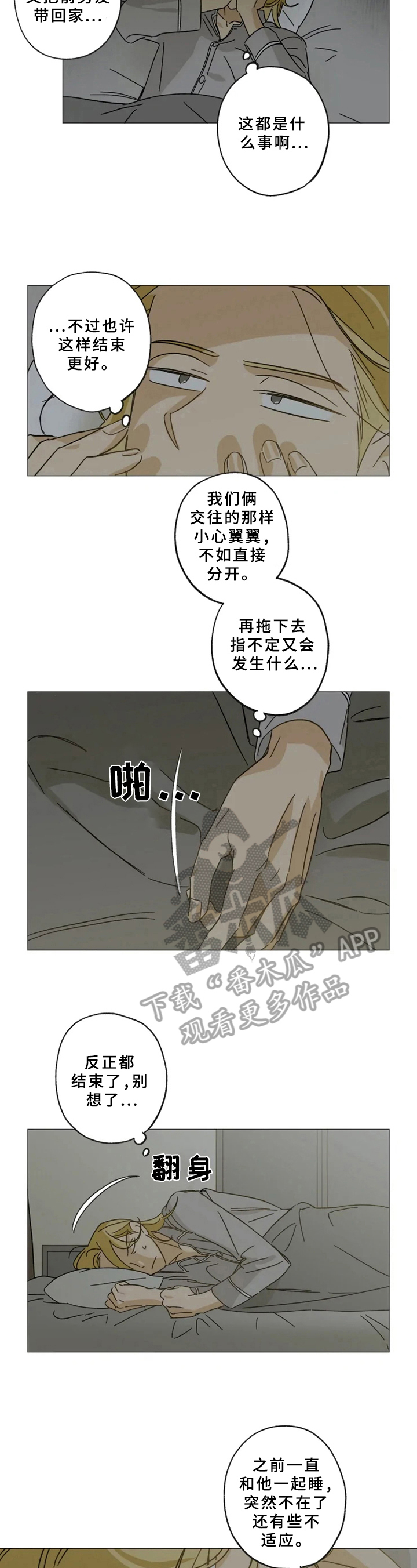 焦点视线漫画,第46章：失眠3图