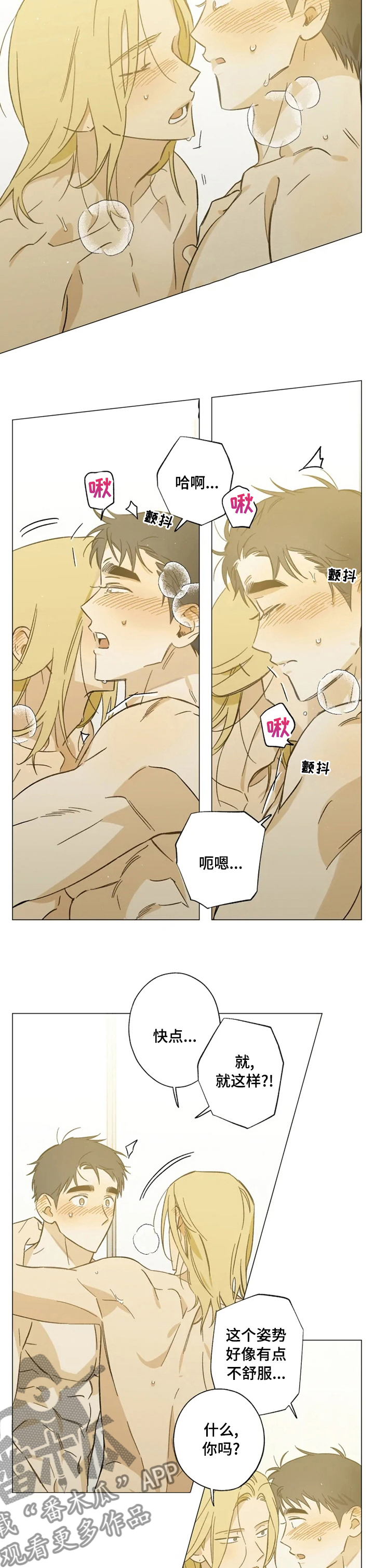 焦点视线漫画,第74章：不妨碍你们3图