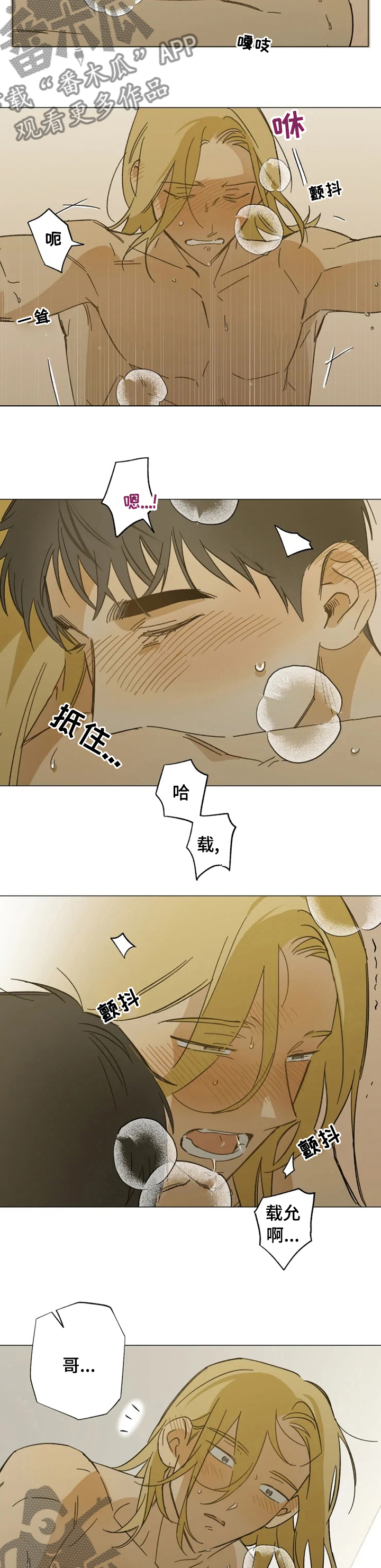 焦点视线漫画,第97章：不是小孩子了3图