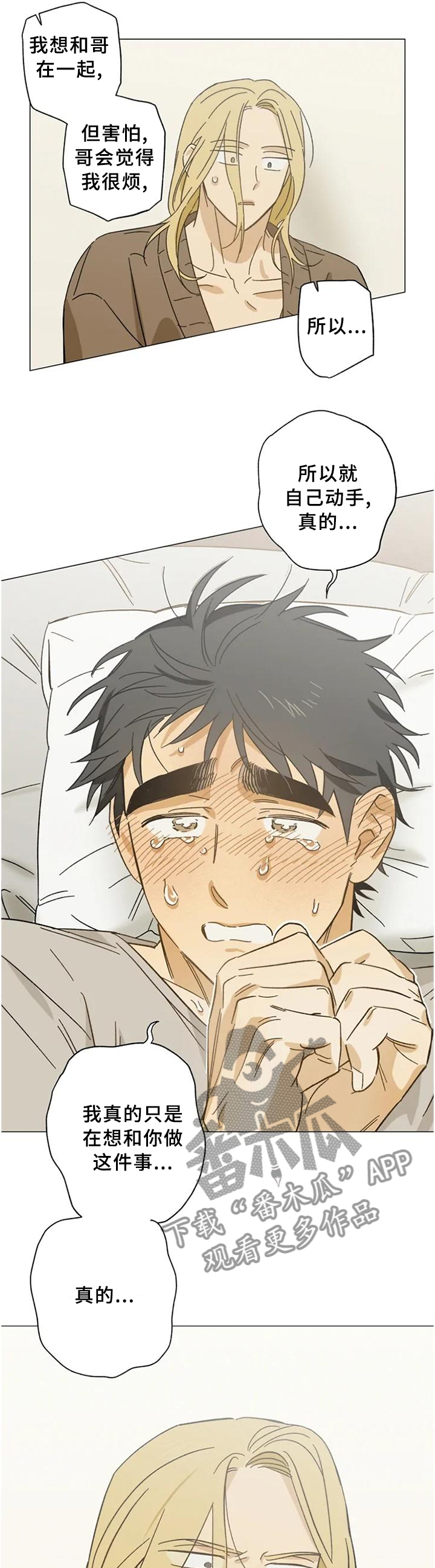 焦点视线漫画,第62章：打开了开关3图