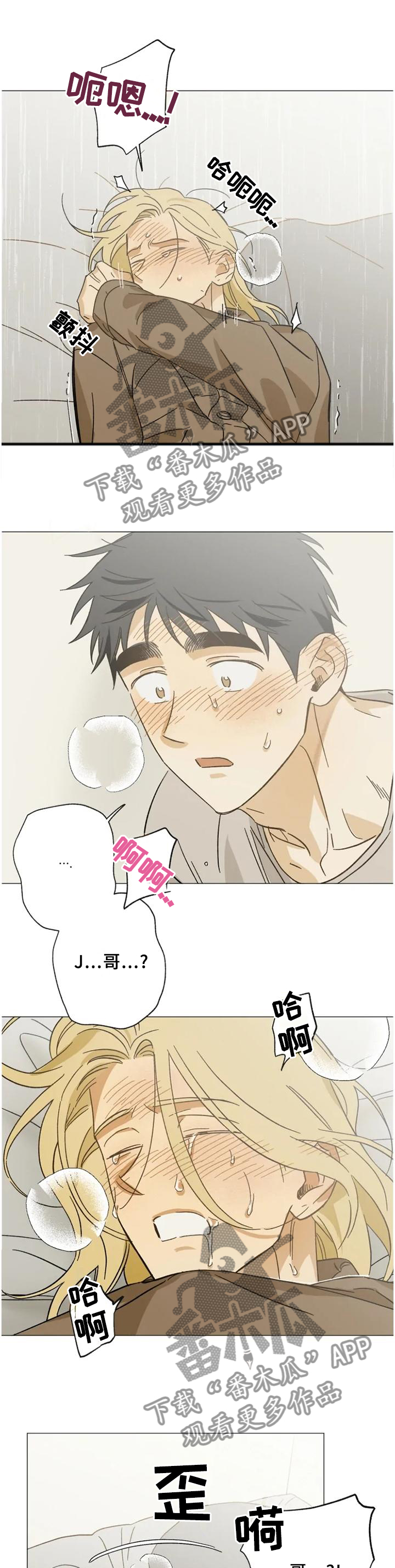 焦点视线漫画,第64章：过来3图