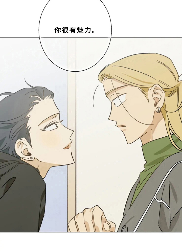 焦点视线漫画,第49章：决定1图