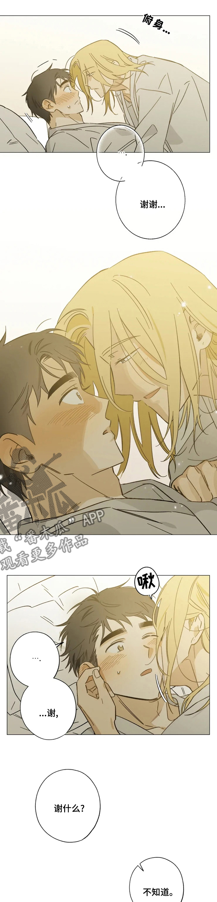 焦点视线漫画,第78章：不错的选择4图