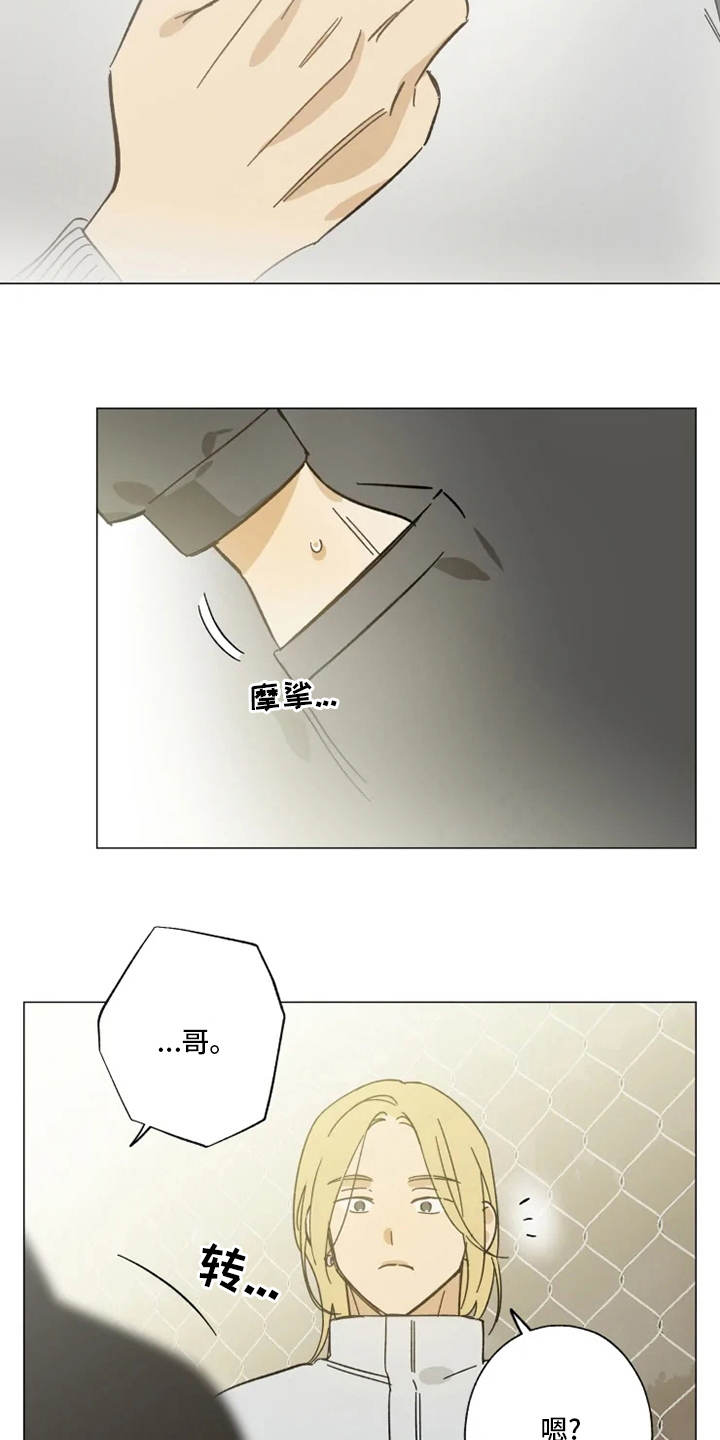 焦点视线漫画,第103章：情侣戒5图