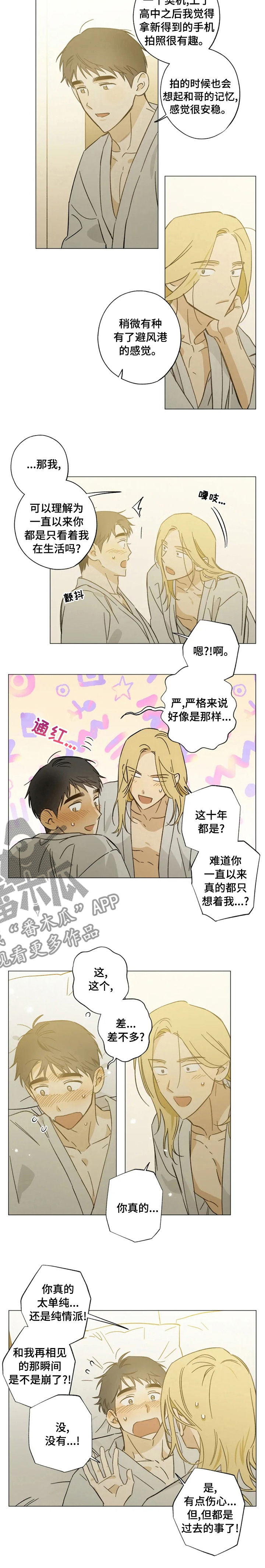 焦点视线漫画,第77章：只想着我5图