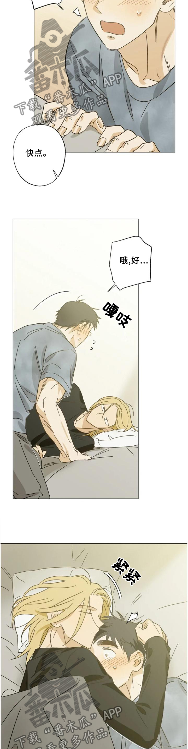 焦点视线漫画,第64章：过来4图