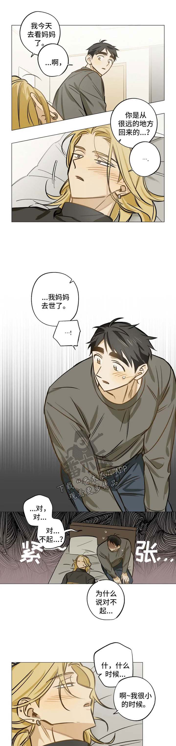 焦点视线漫画,第34章：为什么喜欢我3图