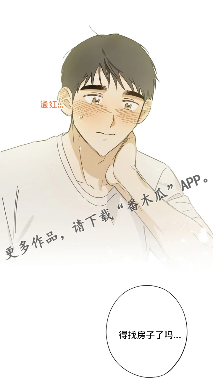 焦点视线漫画,第100章：一起住1图
