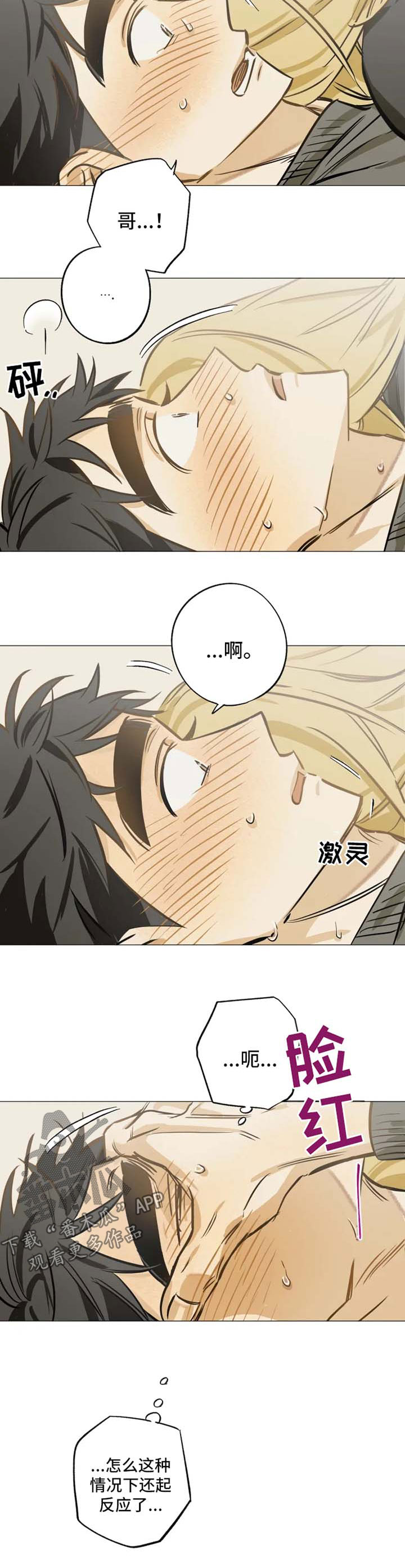 焦点视线漫画,第35章：我想和你交往5图