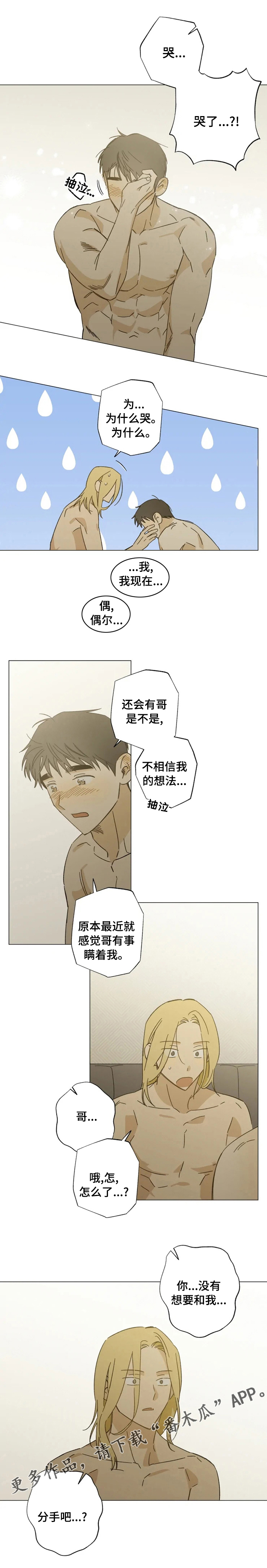 焦点视线漫画,第95章：隐瞒2图