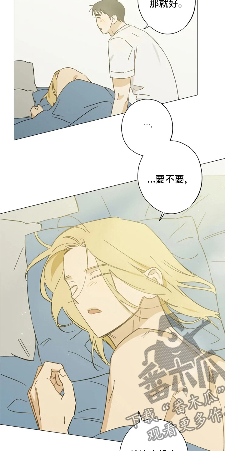 焦点视线漫画,第100章：一起住2图