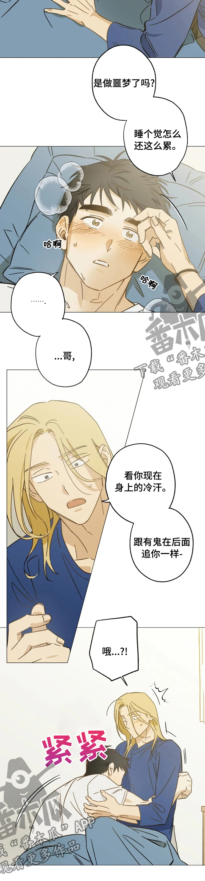 焦点视线漫画,第65章：噩梦3图