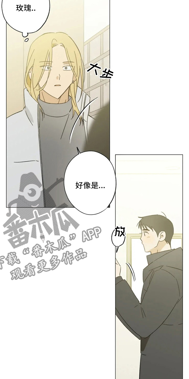 焦点视线漫画,第102章：我行我素3图