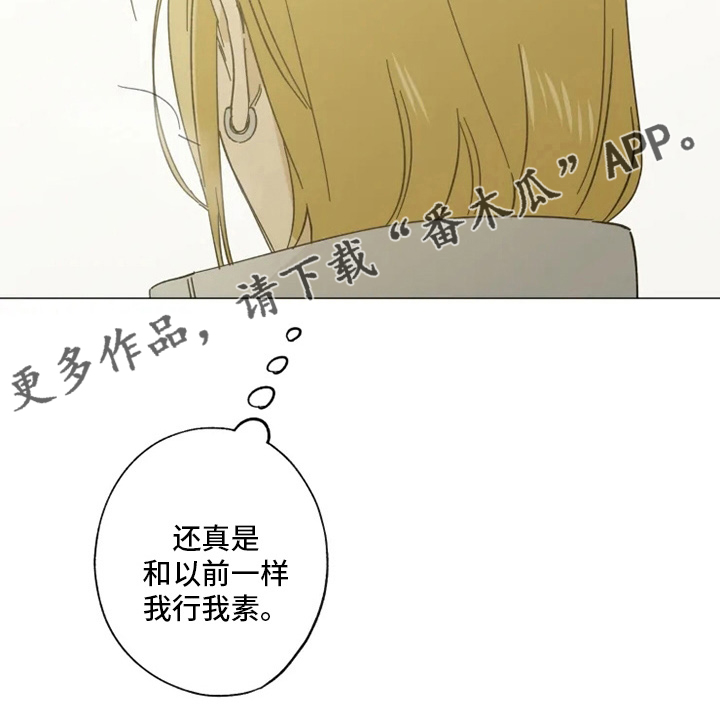 焦点视线漫画,第102章：我行我素4图