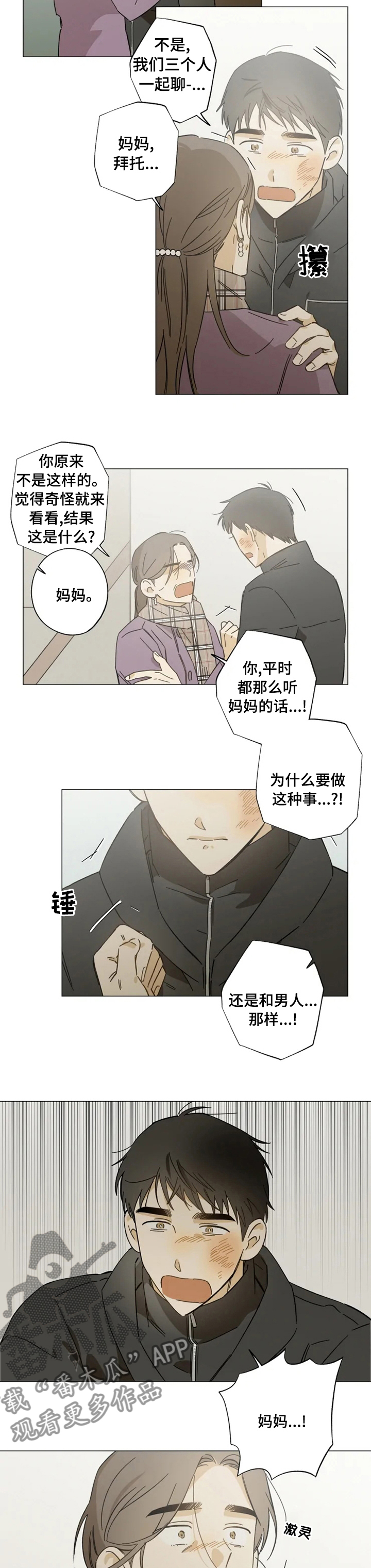 焦点视线漫画,第85章：珍贵3图