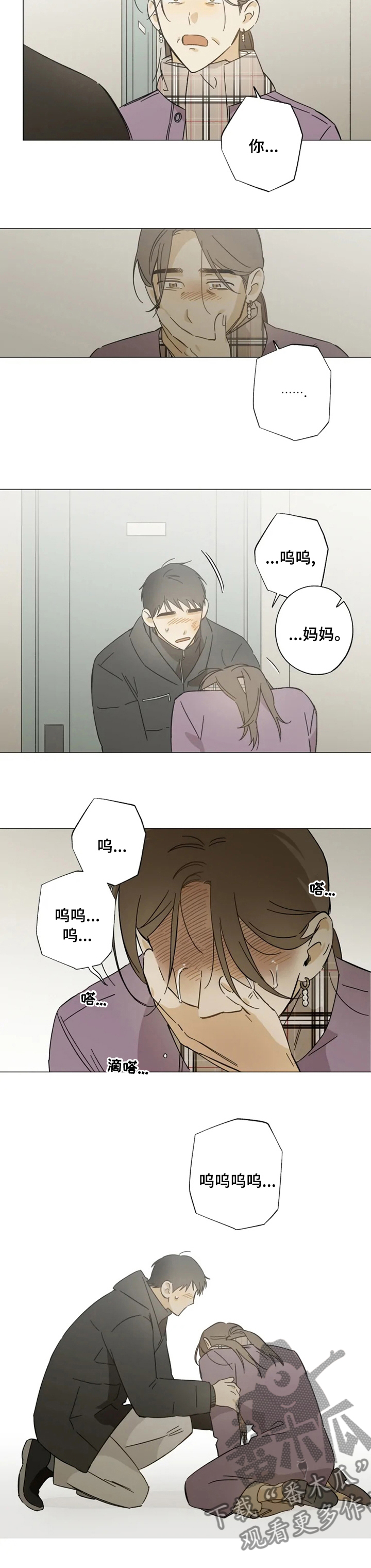 焦点视线漫画,第85章：珍贵3图