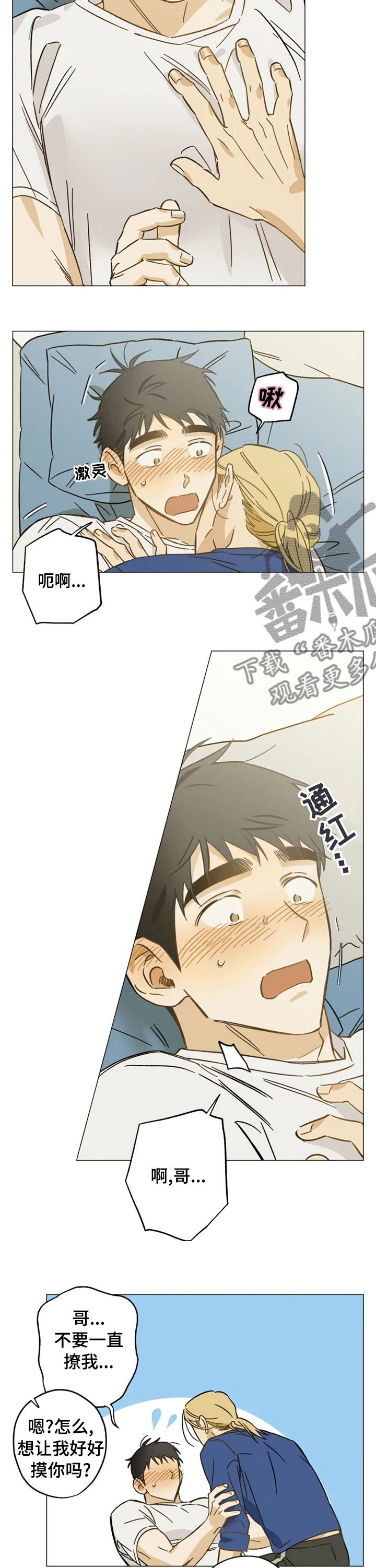 焦点视线漫画,第66章：安慰2图