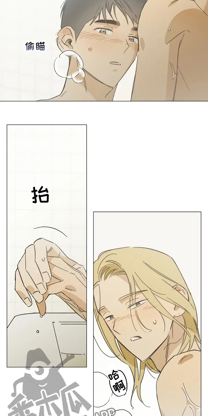 焦点视线漫画,第104章：以后也请多多关照5图