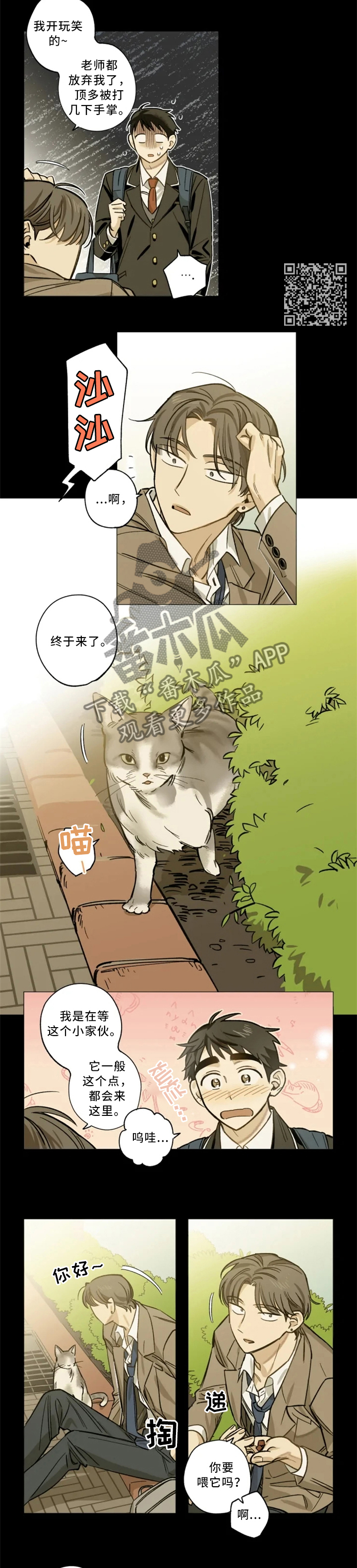 焦点视线漫画,第20章：手机5图