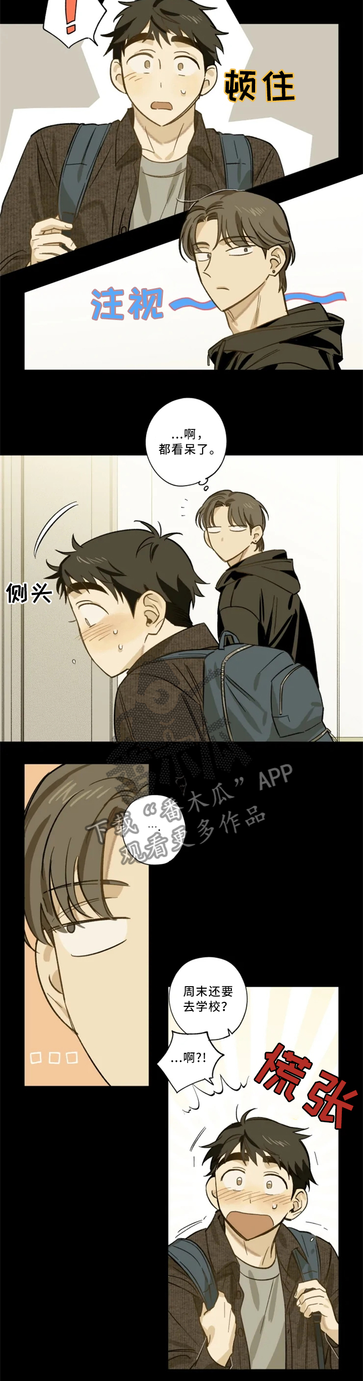 焦点视线漫画,第18章：你的名字1图