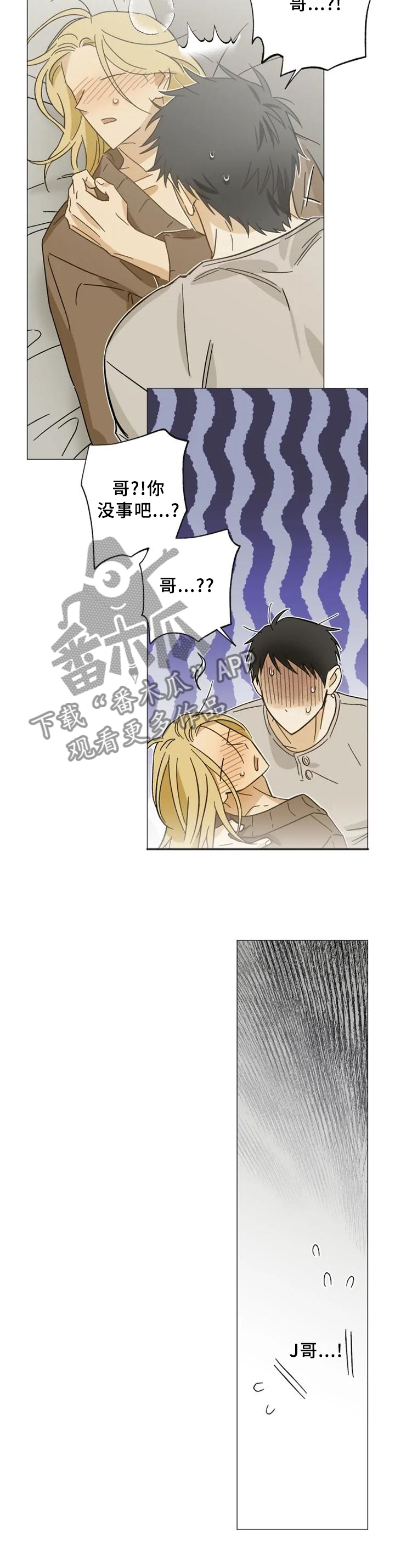 焦点视线漫画,第64章：过来4图