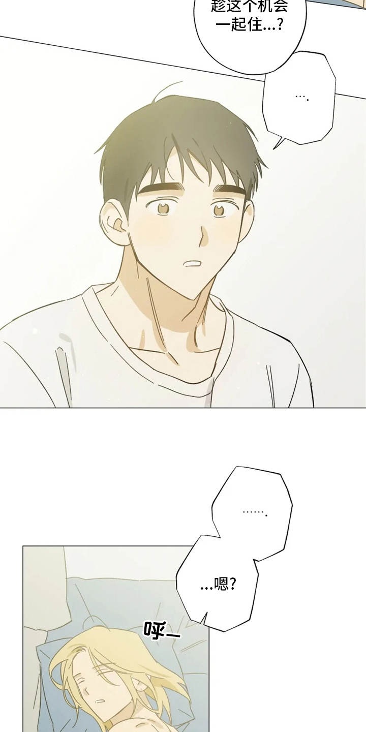 焦点视线漫画,第100章：一起住3图