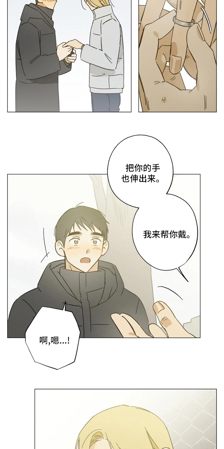 焦点视线漫画,第103章：情侣戒4图