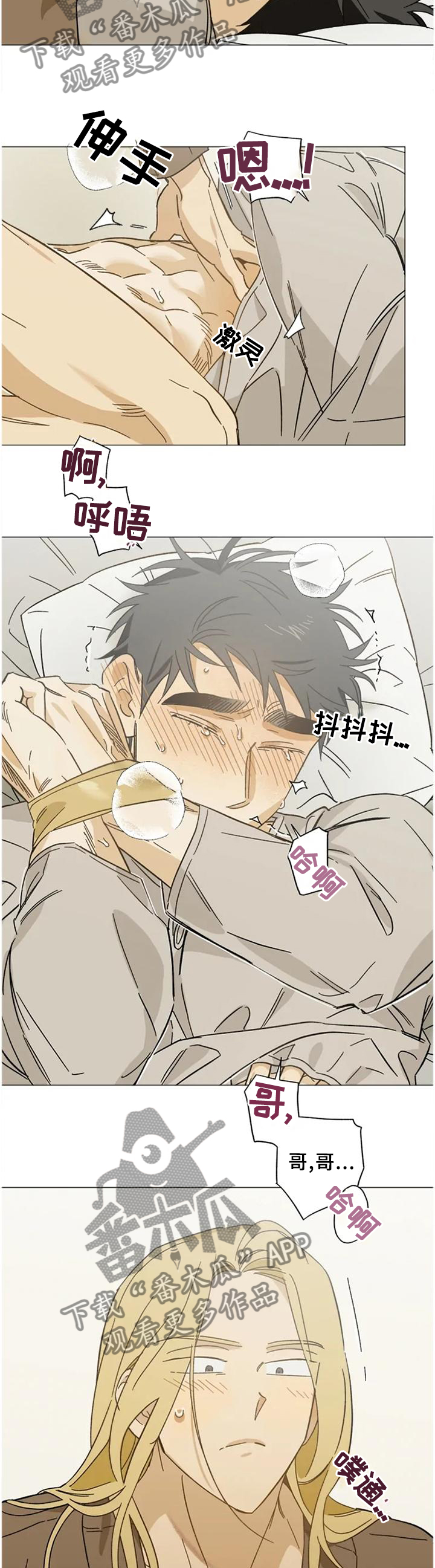 焦点视线漫画,第62章：打开了开关3图