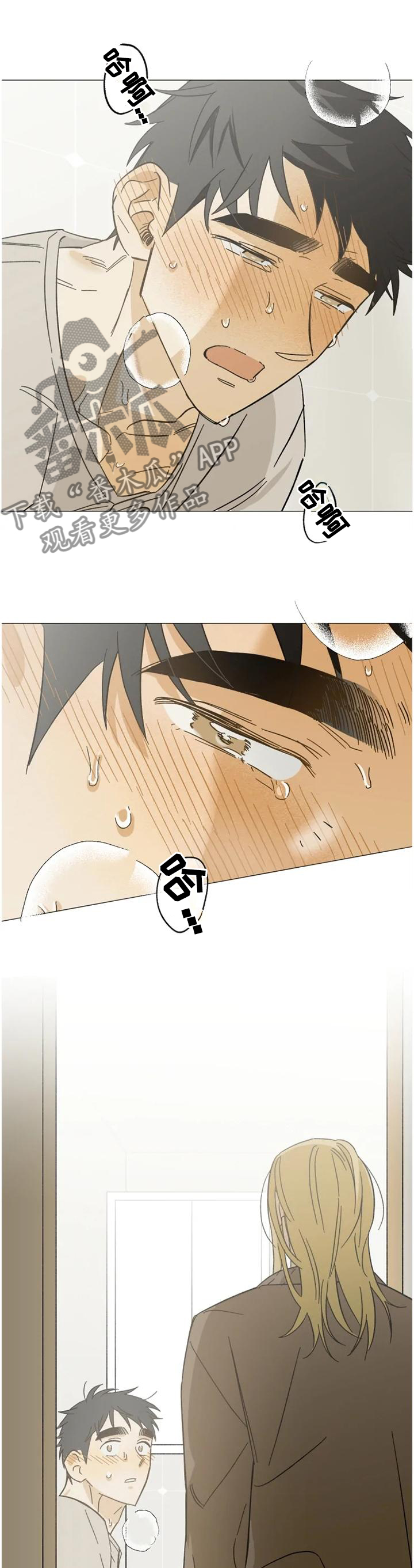 焦点视线漫画,第60章：目击4图