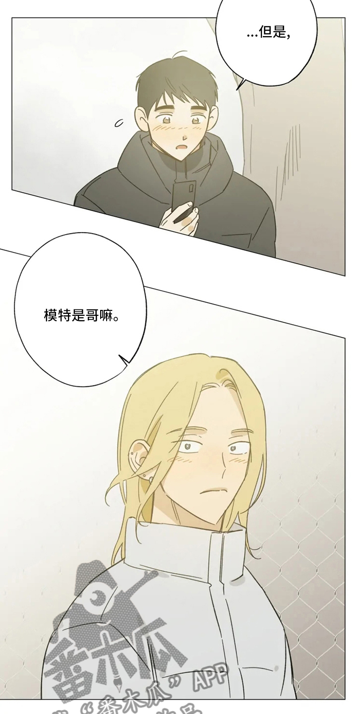 焦点视线漫画,第103章：情侣戒4图