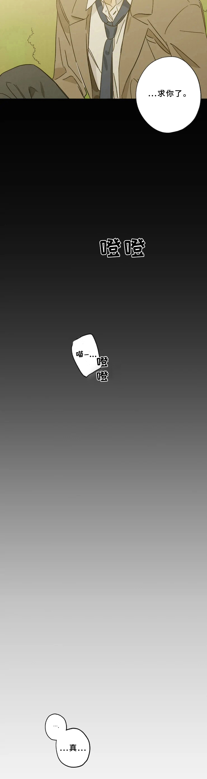 焦点视线漫画,第44章：回家4图