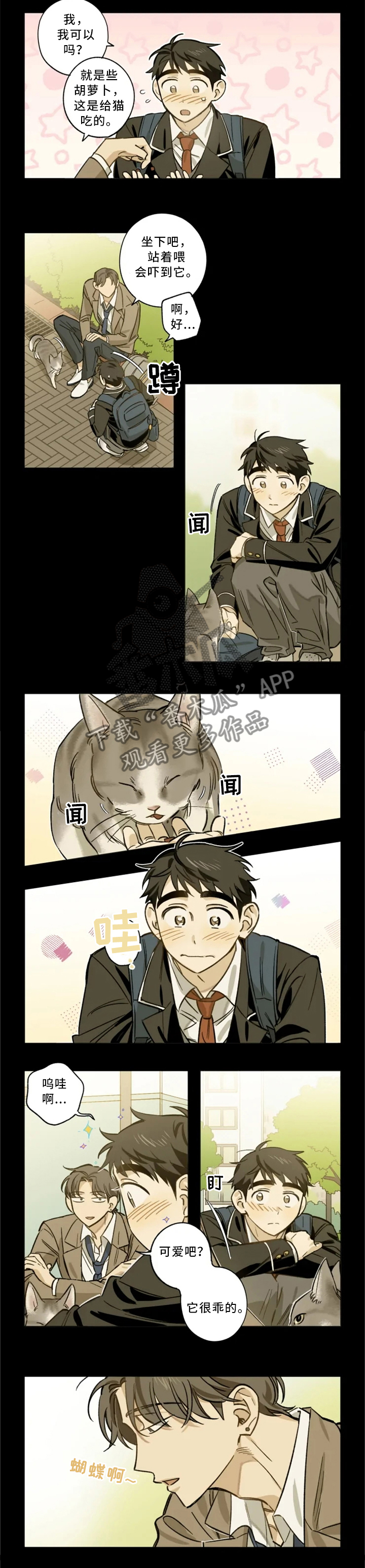 焦点视线漫画,第20章：手机1图